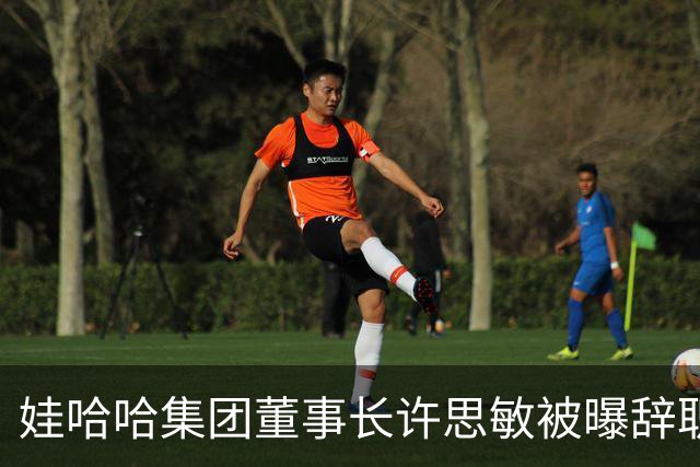 娃哈哈集团董事长许思敏被曝辞职