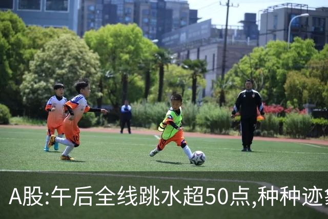 A股:午后全线跳水超50点,种种迹象表明,A股开始步入熊市行情了吗?